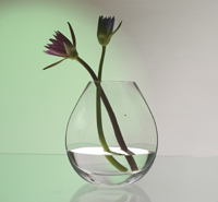 Vase Diva Design by SARNER CRISTAL